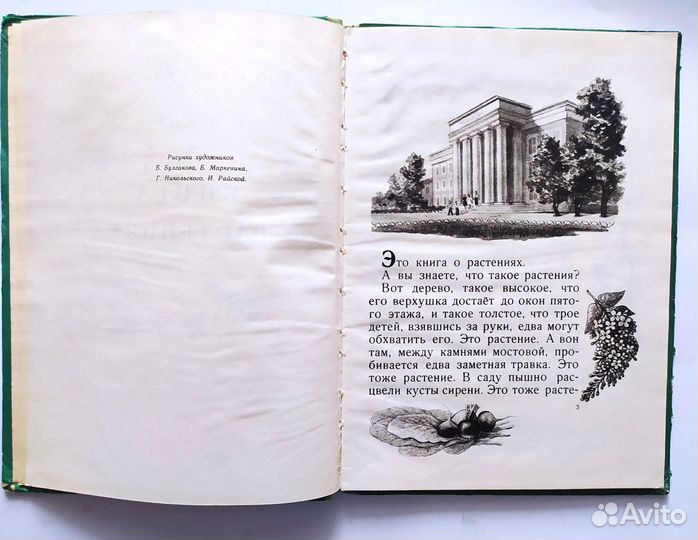 Книга о растениях. 1956 г. Л.Ф.Кон Изд.детгиз