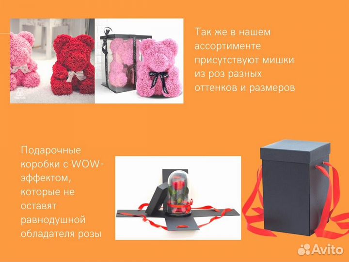 Роза в колбе. Живая