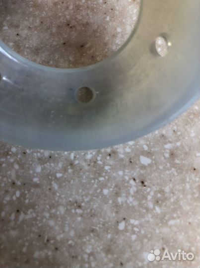 Пессарий арабин