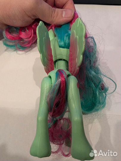 Пони номер 19