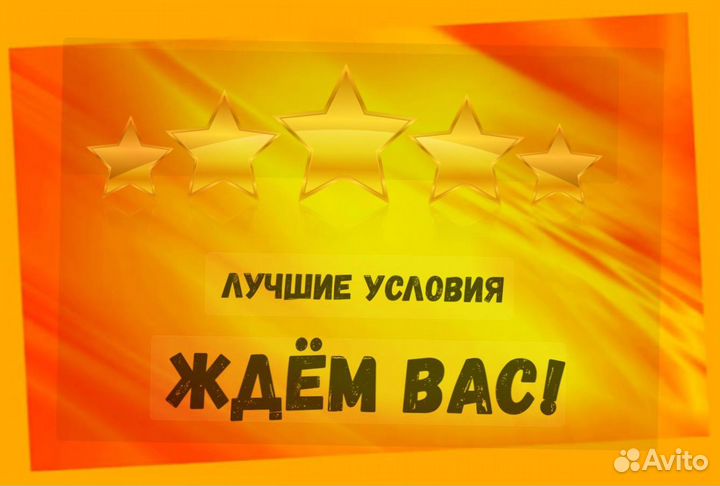 Маркировщик Еженедельный аванс М/Ж Спецодежда