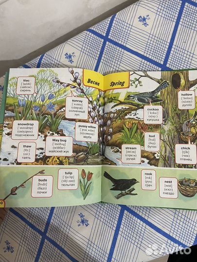 Английский словарь в картинках для детей