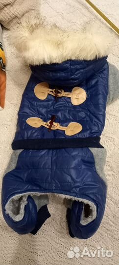 Комбинезон для собаки