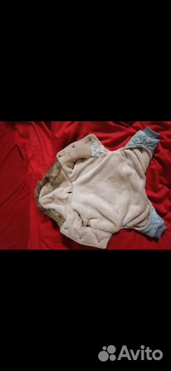 Зимний комбинезон для маленьких собак