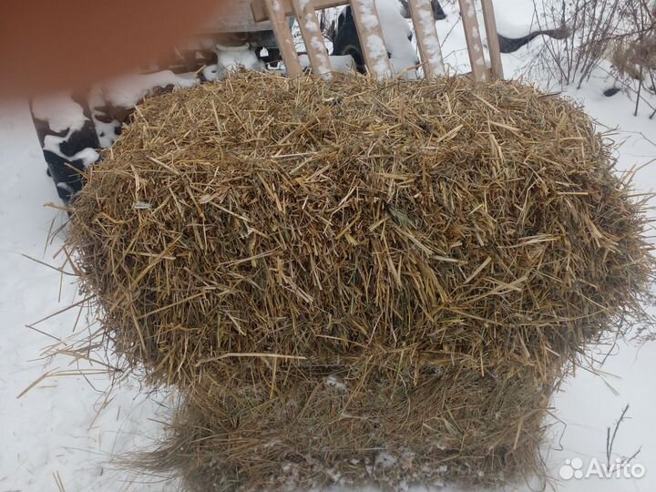 Сено в тюках