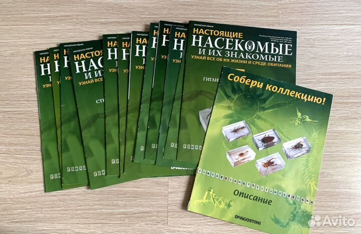 Насекомые и их знакомые. Энциклопедии-журналы