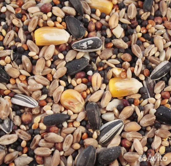 Зерно пшеница ячмень кукуруза овес комбикорм