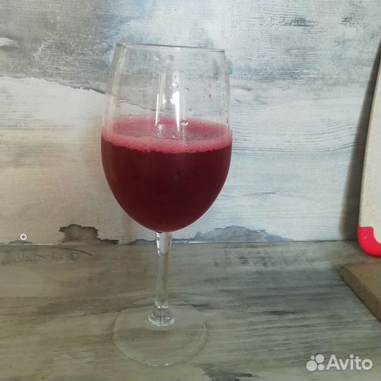 Чайный гриб, Комбуча