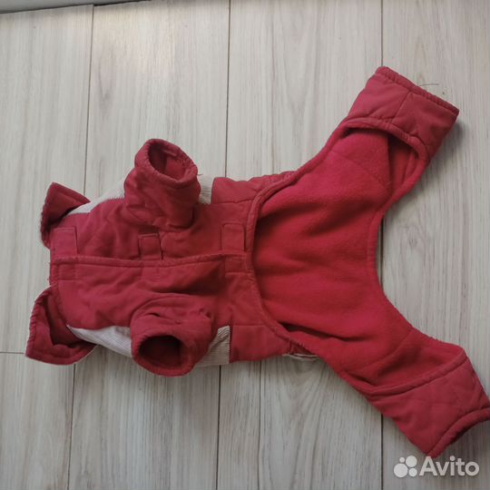 Одежда для маленьких пород собак