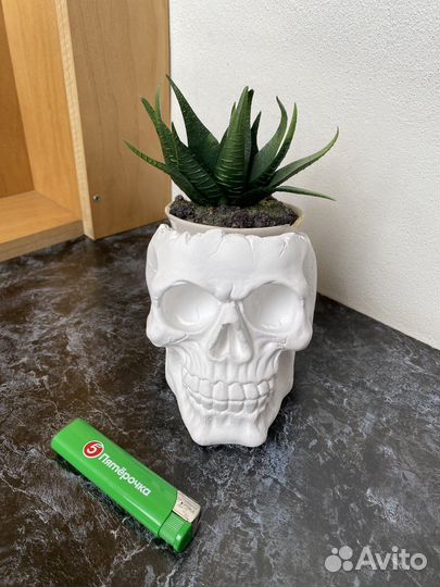 Кашпо череп