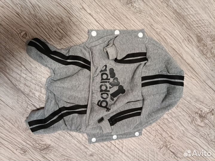 Костюм для собаки