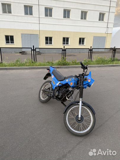 Зид пилот 50