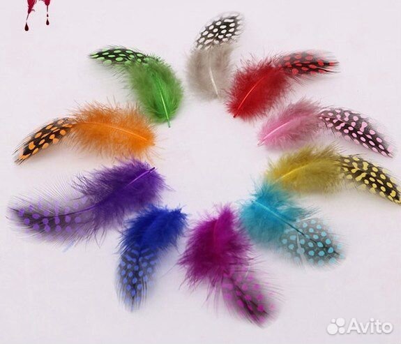 Перо цесарки. Перья в горошек