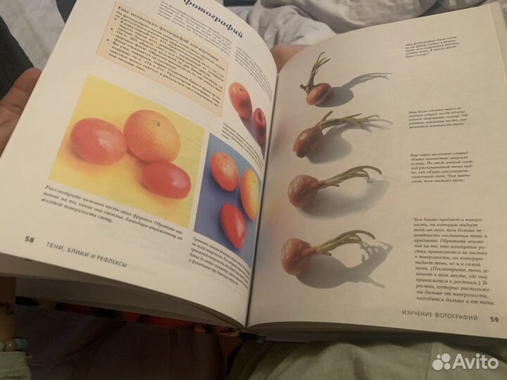 Курс живописи Джеки Шоу