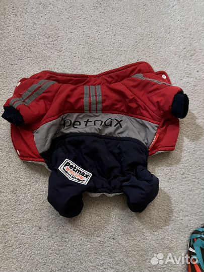 Одежда для собак