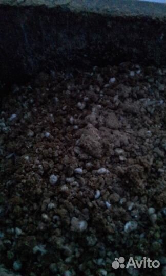 Навоз (помёт) Птичий (перепелиный) в мешках