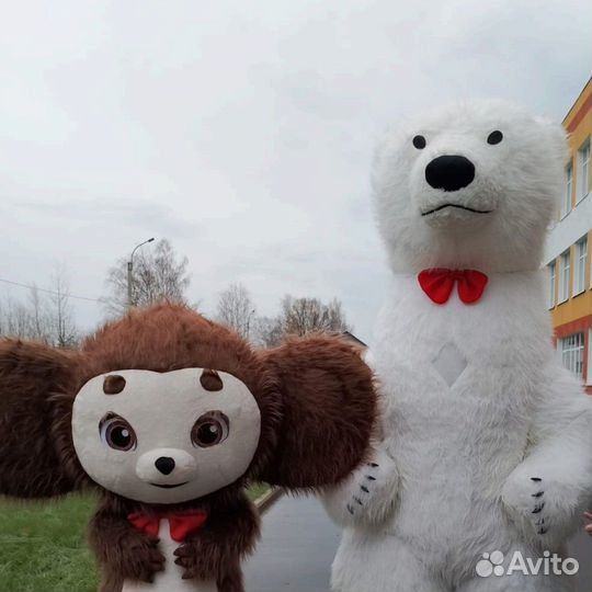 Белый мишка поздравление