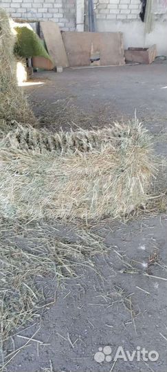 Сено в тюках