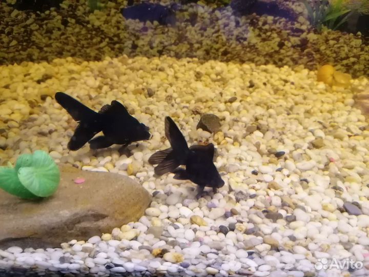 Грунт для аквариума