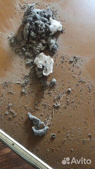 Уборка посче чп