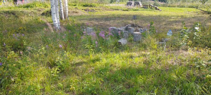 Участок 13,6 сот. (СНТ, ДНП)