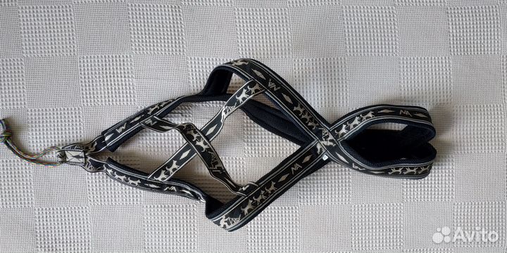 Шлейка, Амуниция для ездового спорта Невский Ангел