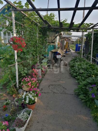 Дом 38,5 м² на участке 14,8 сот.