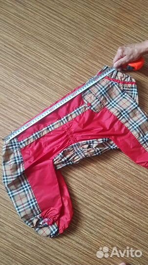 Одежда для собак