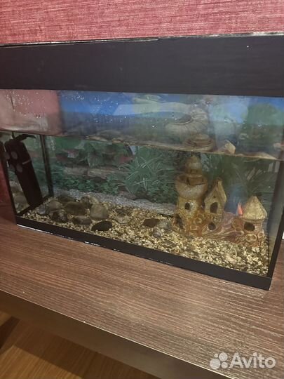 Аквариум