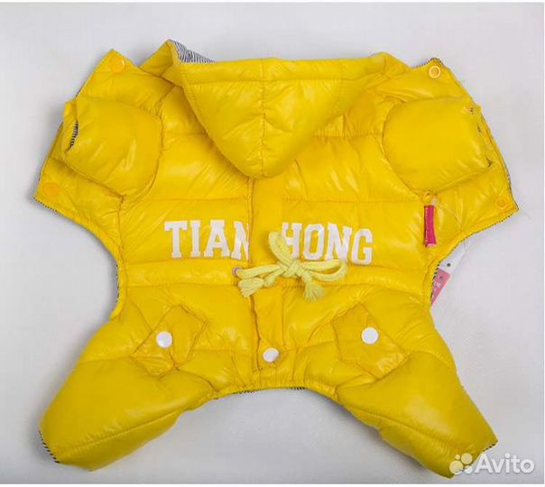 Одежда для маленьких пород собак