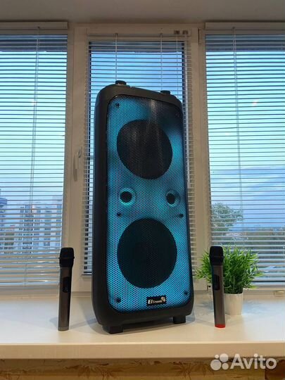 Караоке колонка Eltronic 20-62 Мощная 1000W