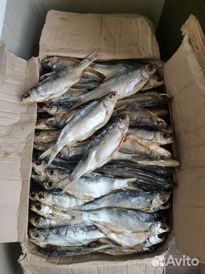 Вобла Астраханская вяленая