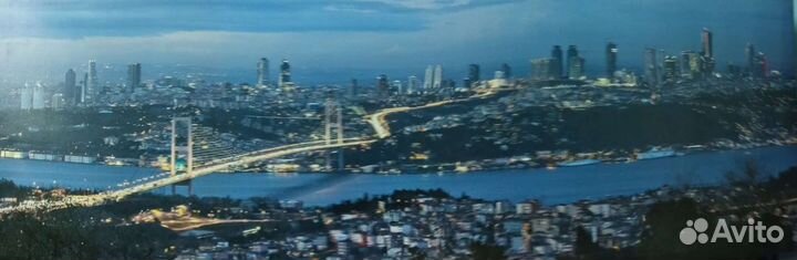 Продаю оригинальную картину 2 метра 