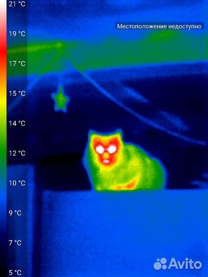 Тепловизор,обследование