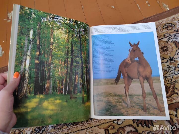 Шолохов биография. Подарочное издание