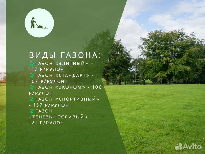 Рулонный газон элитный