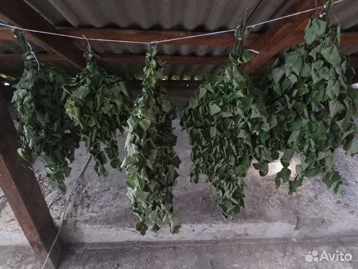 Веники для бани