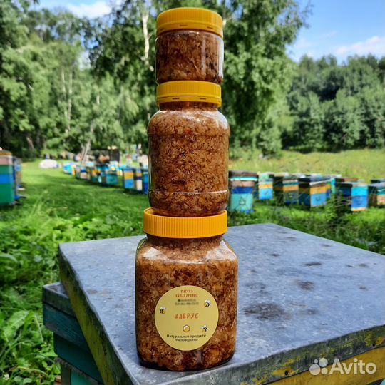 Забрус пчелиный (сбор 2023)