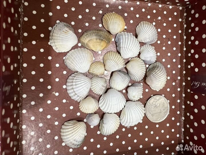 Дрифтвуд ключница макраме