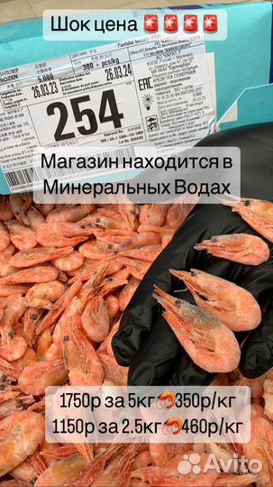 Самая сладкая креветка 2023 год вылова