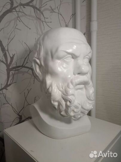 Гипсовая голова