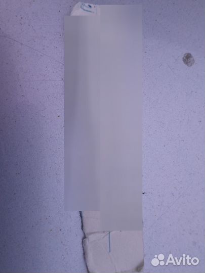 Корова с теленком бычок