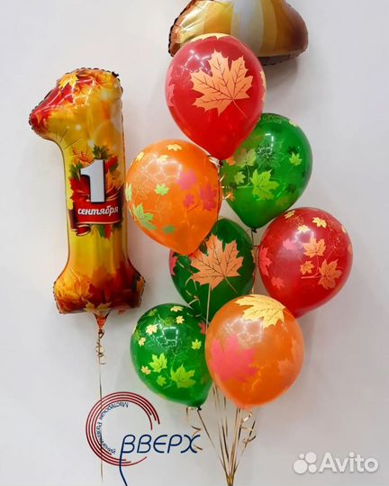 Шары на 1 сентября
