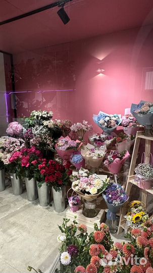 Студия цветов и фотостудия