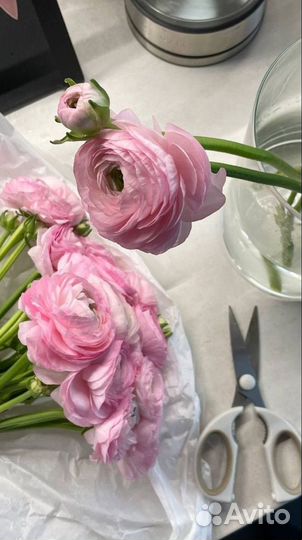 Ранункулюсы цветы букет