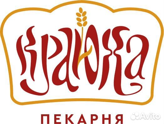 Водитель автомобиля