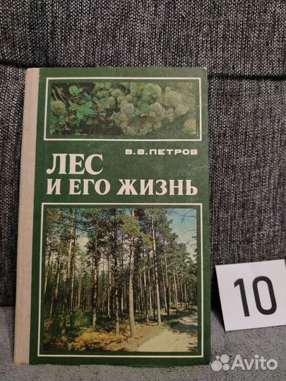 Петров лес и его жизнь