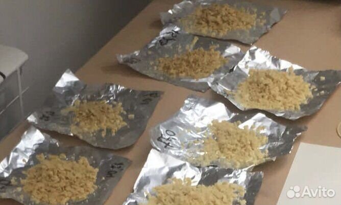 Черная львинка яйцо. Доставка бесплатно