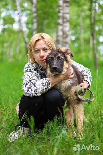 Щенок из приюта мечтает обрести семью