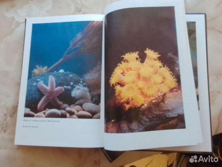 Морской аквариум дома книга